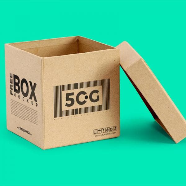 Carton Box